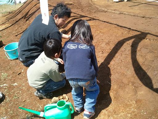 ファイル 186-2.jpg