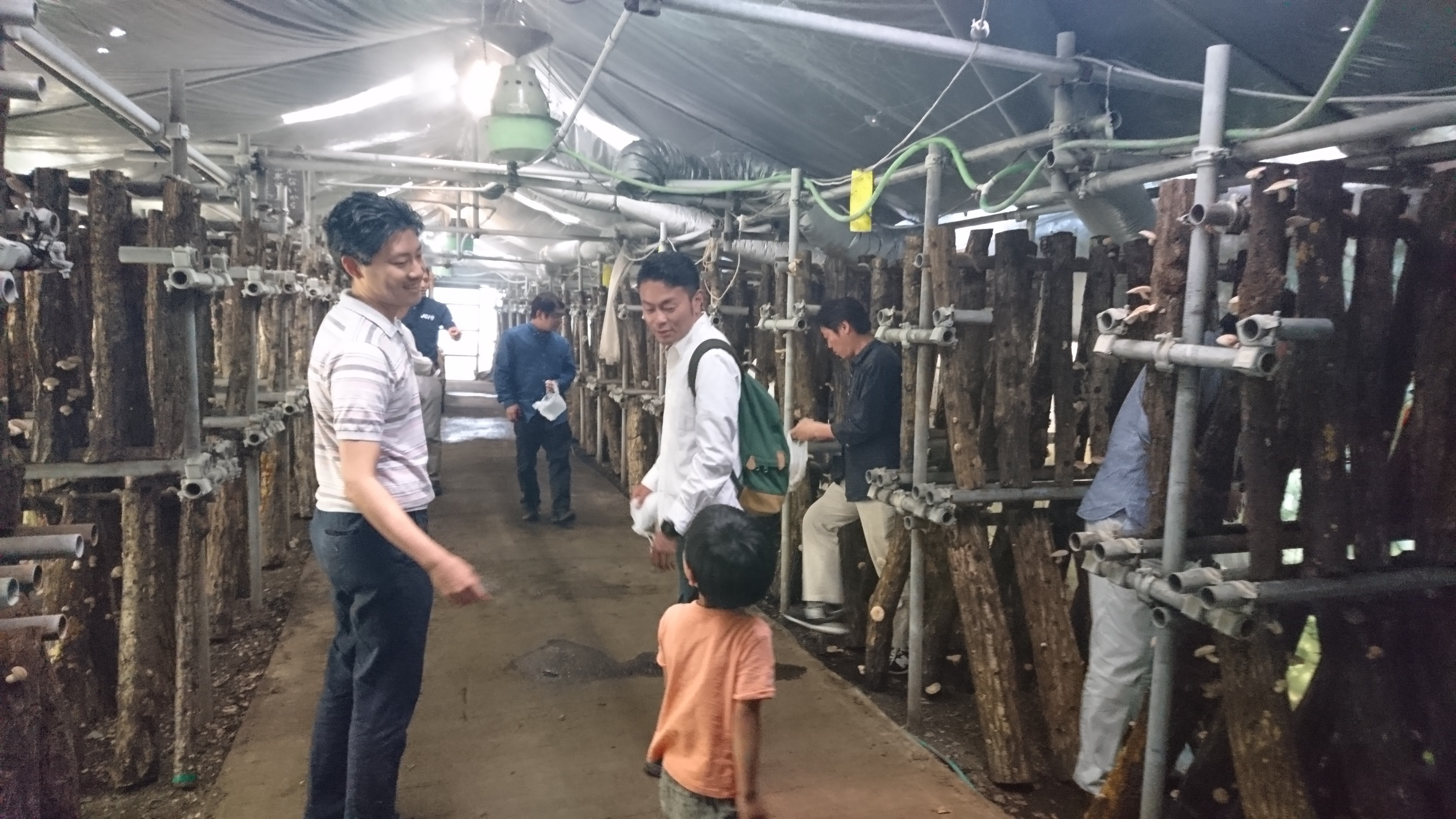 ファイル 333-2.jpg