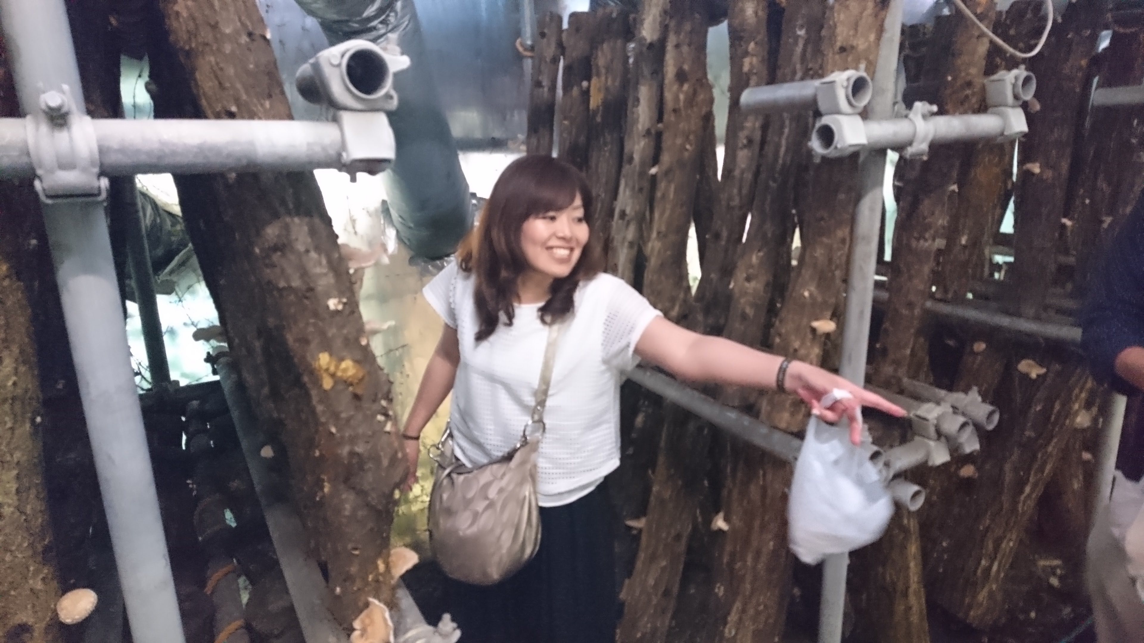 ファイル 333-3.jpg