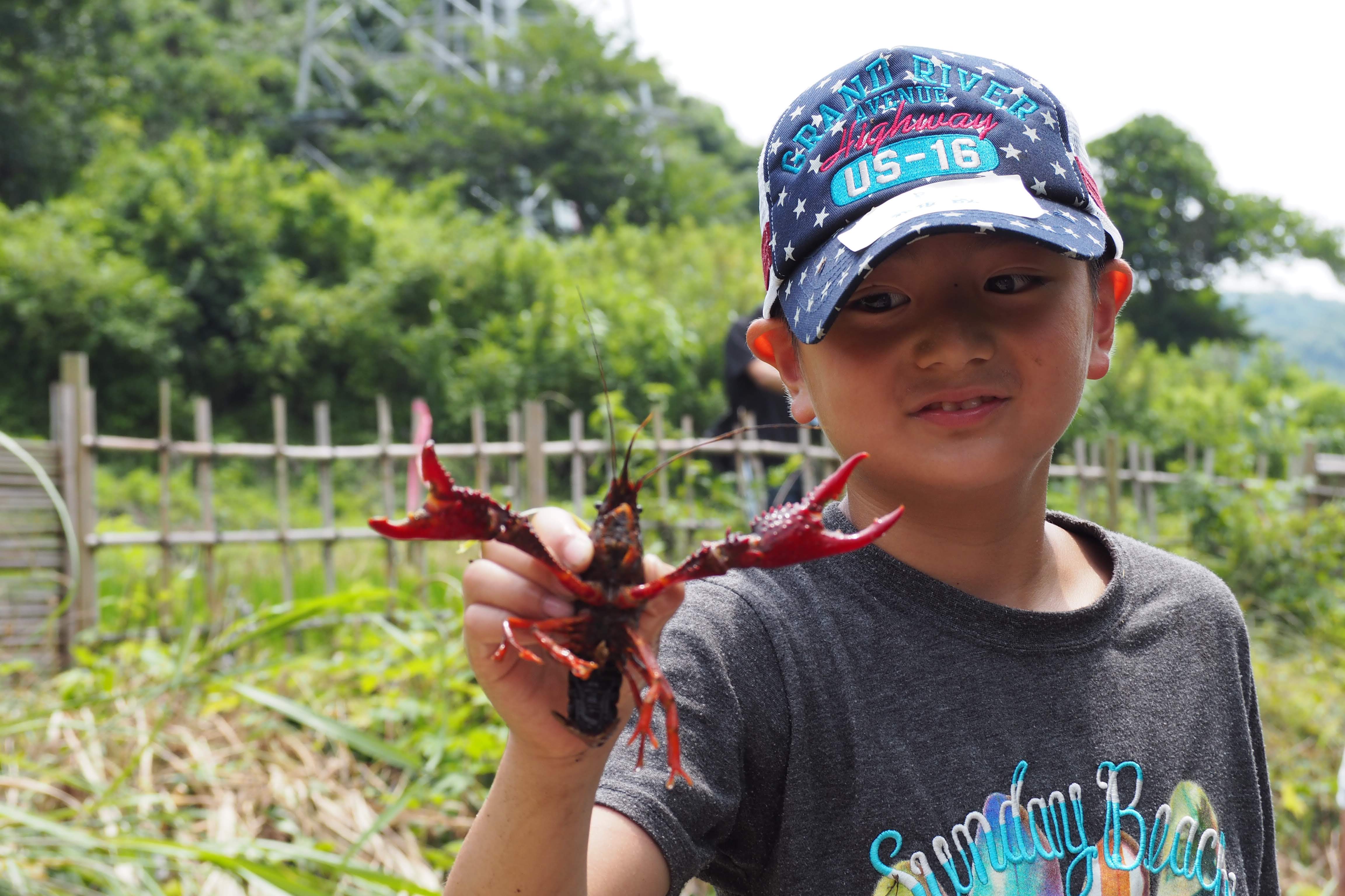 ファイル 350-1.jpg