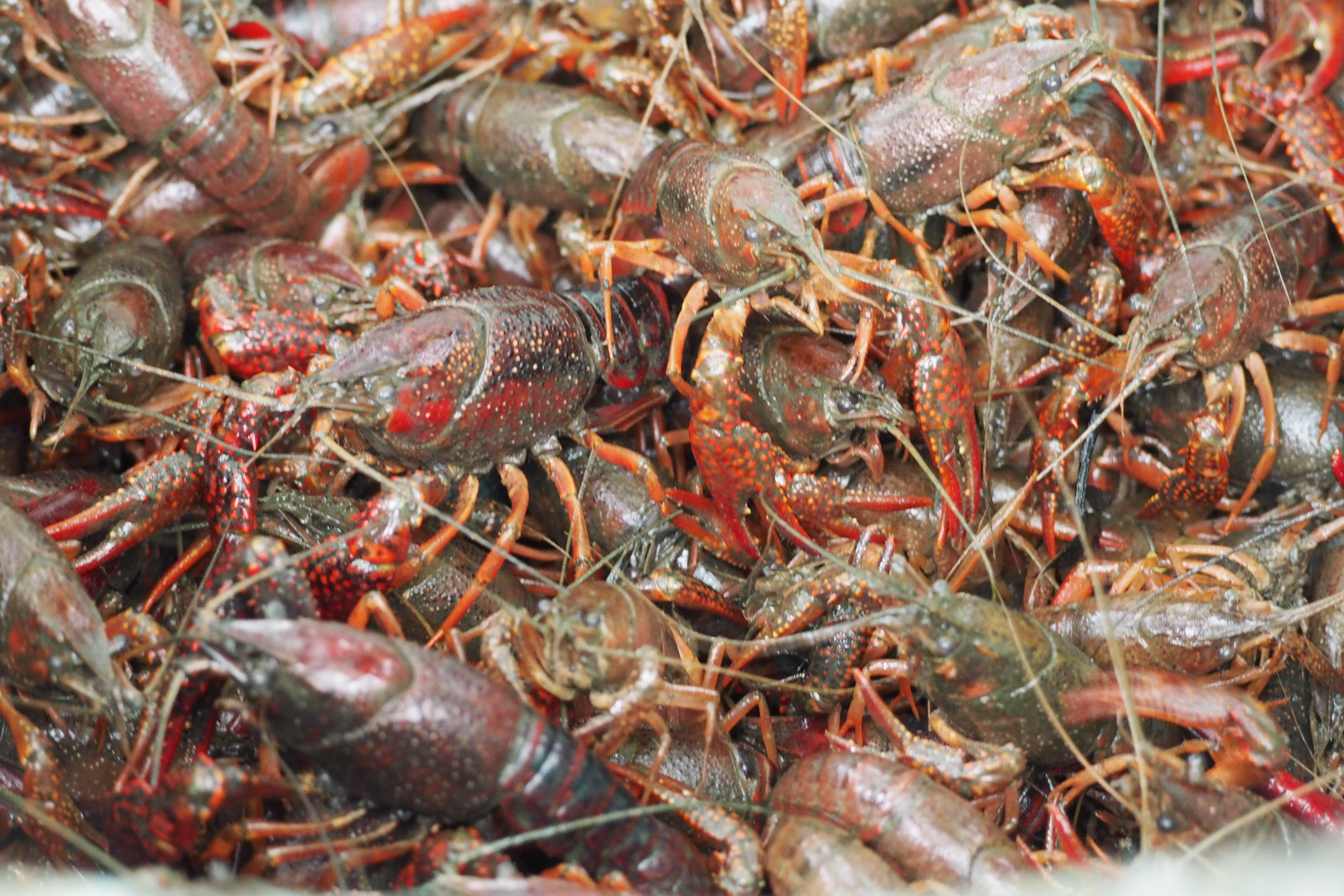 ファイル 350-3.jpg